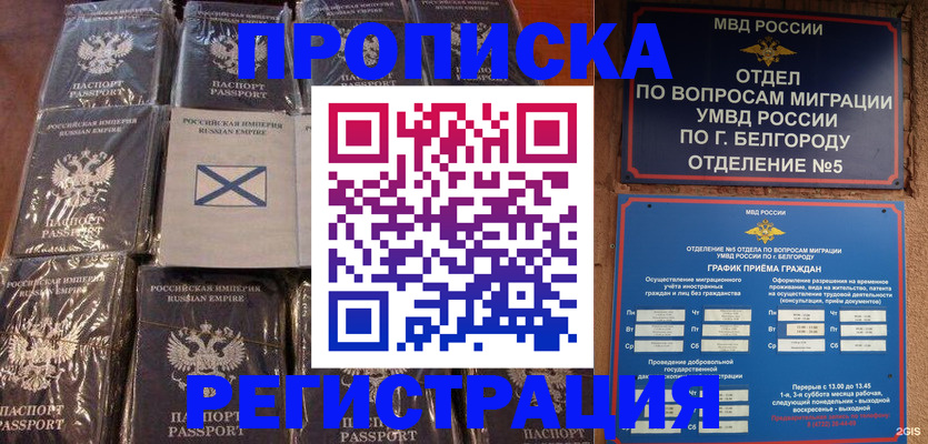 прописка гарантия в Ермолино